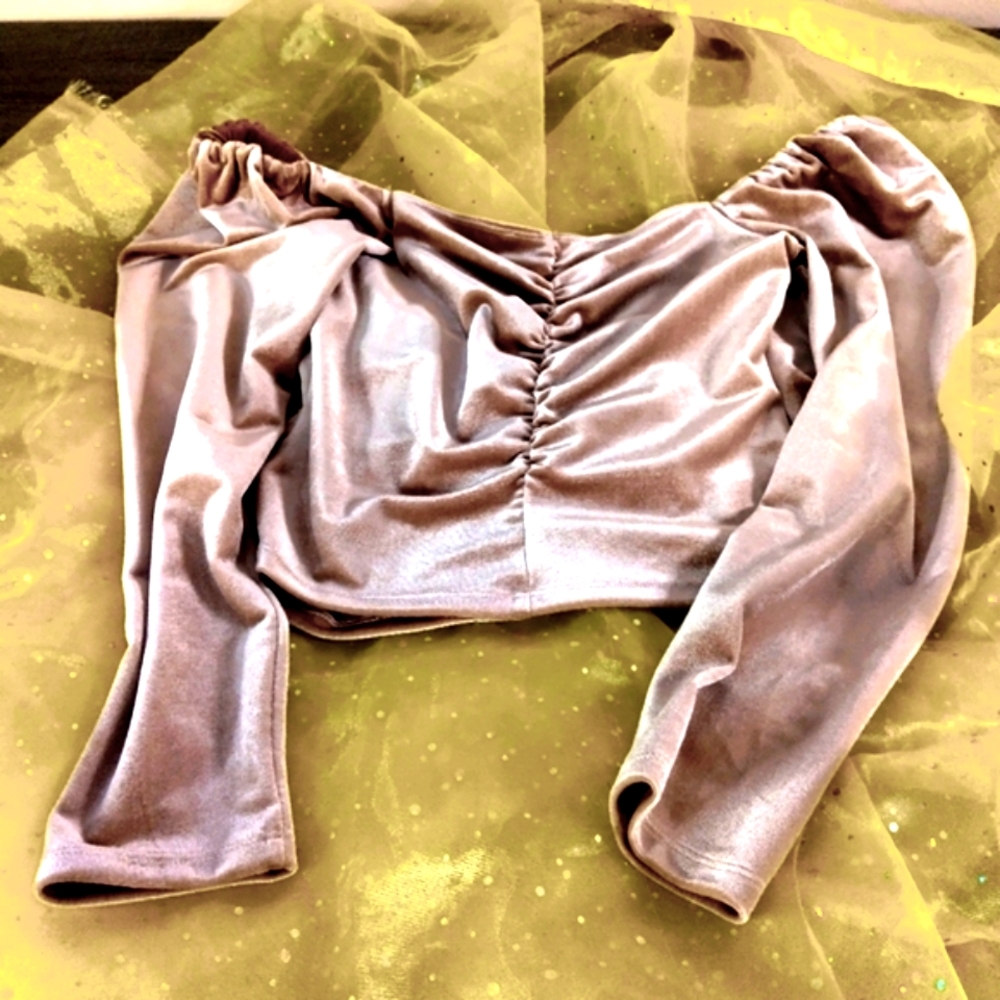 Aster The Label women's blush velvet long sleeve crop top Size M NWT